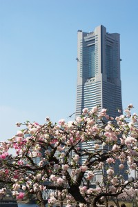 IMGP6777