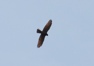 IMG_8577