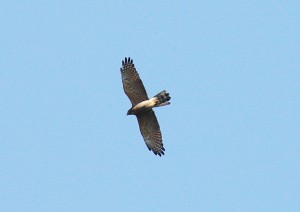 IMG_8614