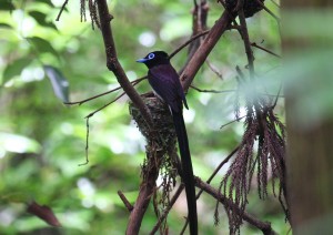 IMG_9437
