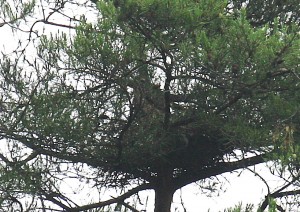 IMG_9578