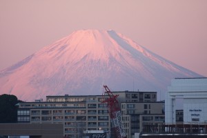 IMG_2592