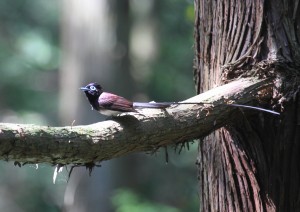IMG_7815