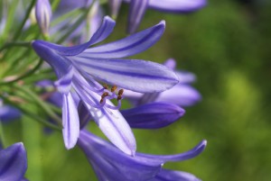 IMGP2807