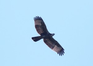 3C8A0107